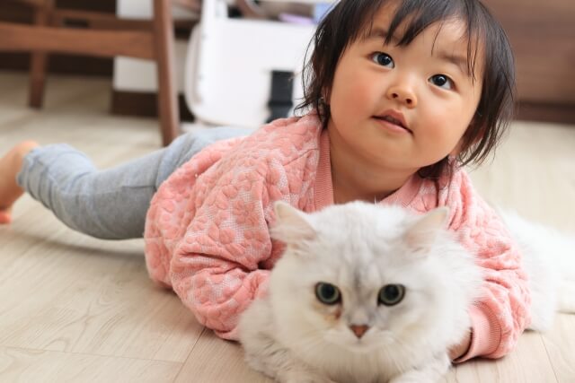 photo with a cat