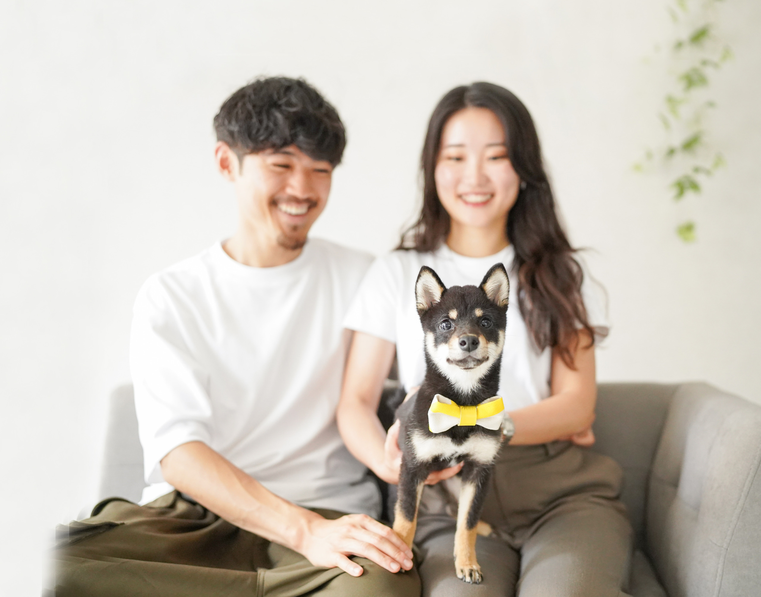 愛犬愛猫と
家族の写真館