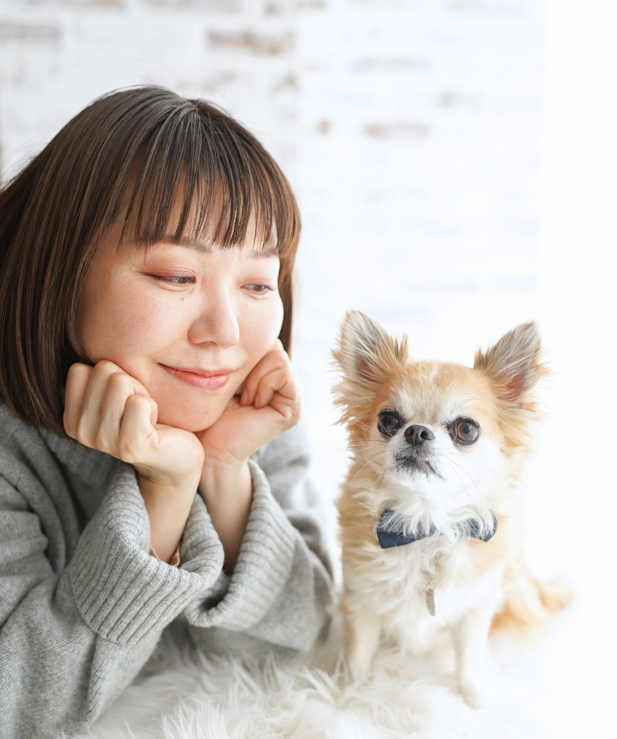 愛犬愛猫と
家族の写真館