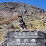 那須岳背景に那須岳と書かれた看板に乗る柴犬