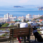 街並みと海の見える景色を眺めながらベンチに座る男性と横に座るラブラドールレトリバー