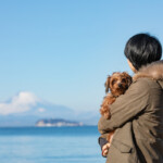富士山を眺める女性とこちらを見つめる茶色い犬